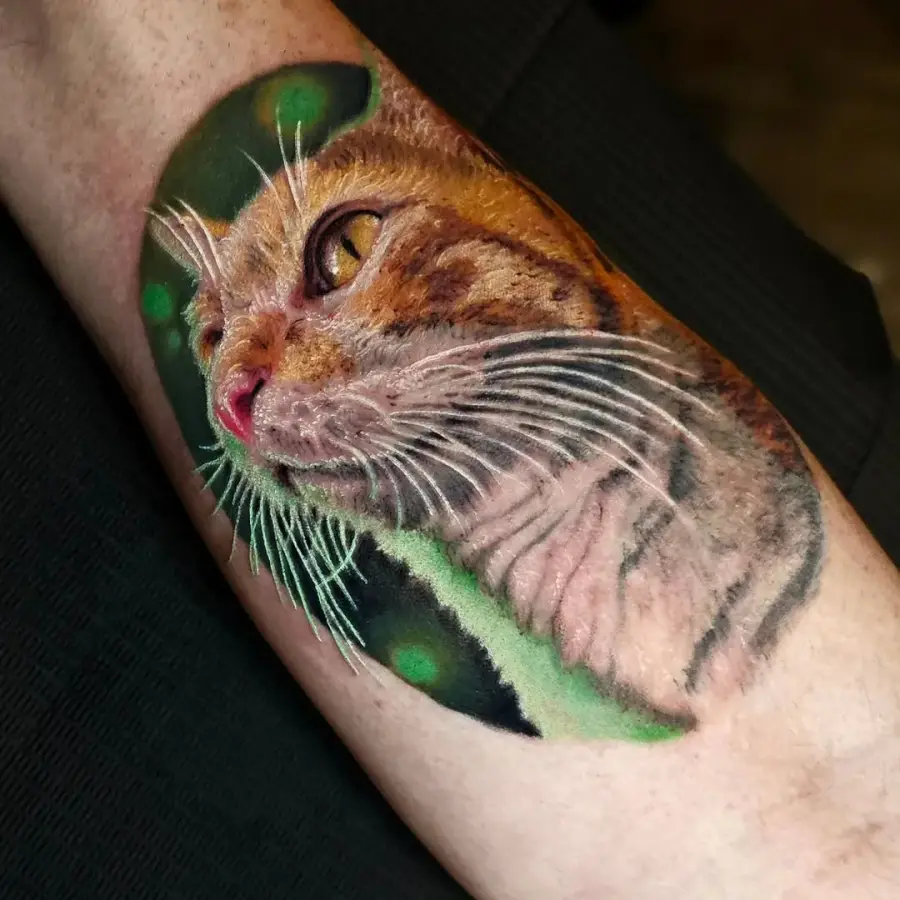 Cat — color tattoo on forearm by Amed Cid, Miami