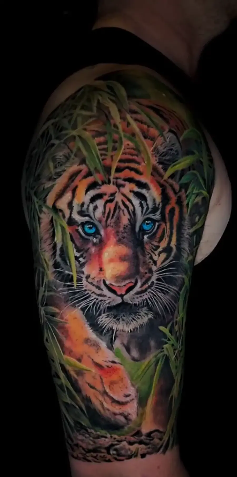 Tiger — color tattoo on upper arm by Amed Cid, Miami